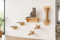 First Climb bundle - four wall cat furniture pieces