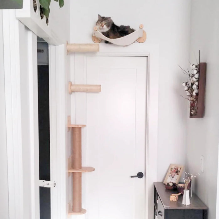 The Explorer
